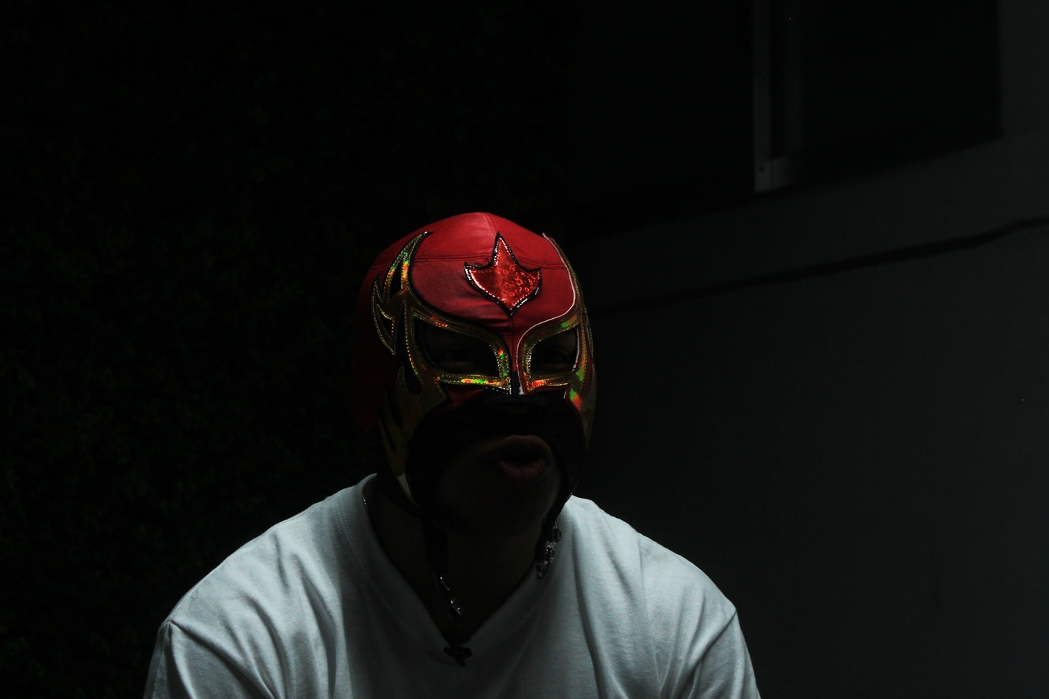 Il fascino del wrestling: storia e evoluzione